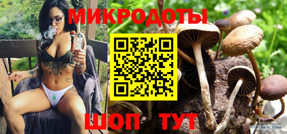 Галлюциногенные грибы Psilocybe Чусовой